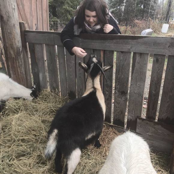 Meet your Posher, Arhya - Picture 1 of 1